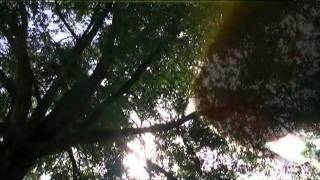 Copeland - Every Silence