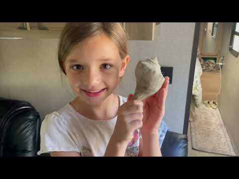 2026 Winter Travel Update! Enjoying the Sun!