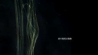 の"名において"の発音の仕方がめちゃくちゃ好きすぎます🫶 - 裏世界 Cover あらき