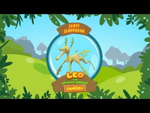 Witness21  2020 01 02