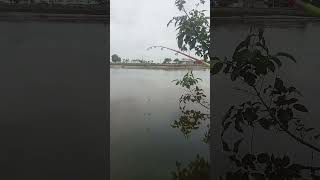 ALHAMDULILLAH hampir sebulan ini ikan baru kena...