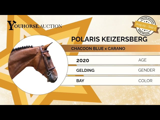 Polaris Keizersberg showvideo