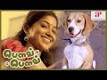 Bow Bow Movie Scenes Tejaswi Recollects Her Past Siva Latest Tamil 2019 Full Movies