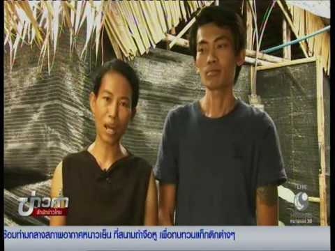 นั่นคือสำหรับ uvilichenie แรง วิลโลว์สมุนไพรเพื่อเพิ่มความแข็งแรง