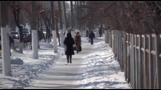 В МОРОЗЫ РЕКОМЕНДУЕТСЯ ОГРАНИЧИТЬ ПОСЕЩЕНИЕ ШКОЛ