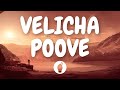 Velicha Poove Lyric Video Ethir Neechal Butter Skotch