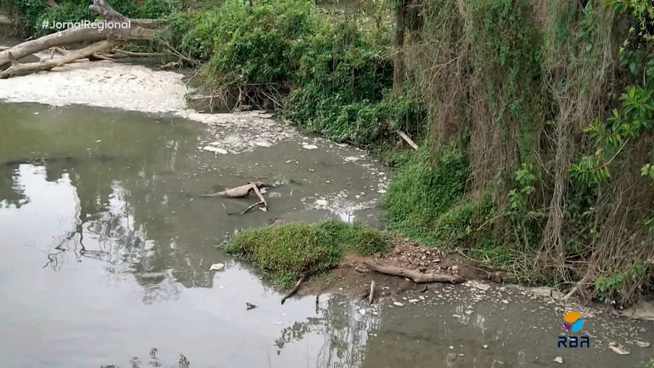 Vigilância Sanitária de Ibirama apura denúncia de esgoto em tubulação próxima à Ponte Osvaldo Beltramini