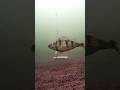Video Thumbnail for Perch checking up my hotdog bait ?? #Fishing #Bait #Perch #Lake #Weekend