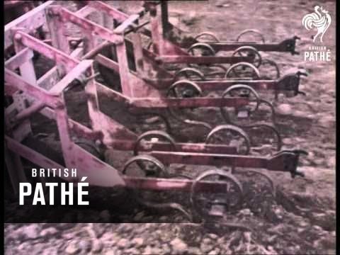 Bmc Presents Potato Harvesting (1962)