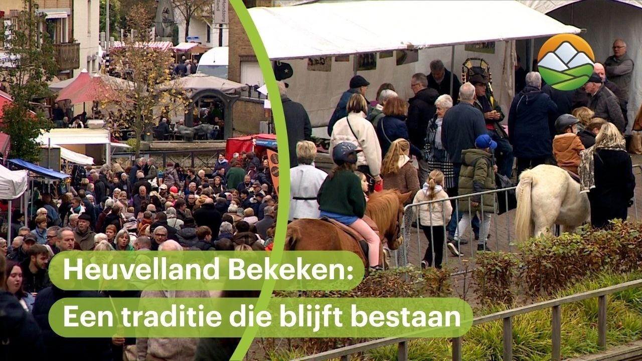 Heuvelland Bekeken: Van eeuwenoude veemarkt naar de Hubertusmarkt van nu