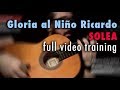 Gloria al Niño Ricardo (Solea) by Paco de Lucia - Full Training - See Description