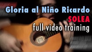 Gloria al Niño Ricardo (Solea) by Paco de Lucia - Full Video Training - Annotations
