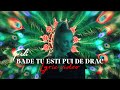 Feli - Bade tu esti pui de drac | Lyric Video