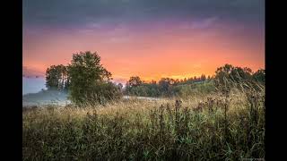 This is not America - Extended guitar jam tribute to Pat Metheny and David Bowie