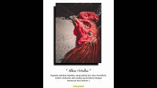 Download lagu STORY WhatsApp PSHT [PART 1] #AyamJago mp3