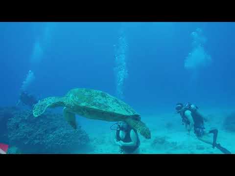 Advanced SCUBA diver descending toward the sunken Sea Tiger Wreck off Honolulu, Oahu.