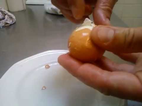 pourquoi la coquille des oeufs est blanche