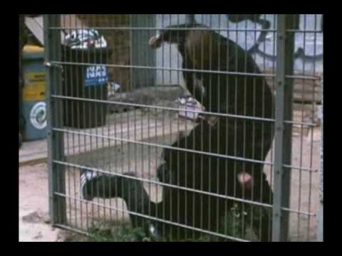 Deniro feat Toni Der Assi-Muhamed Ali