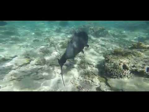 El Nido - Philippines - 2015