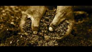 Get a Little Dirt On Your Hands -- David Allan Coe