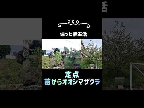 鉢から取り出すときに屋内と屋外で植物を順応させる方法