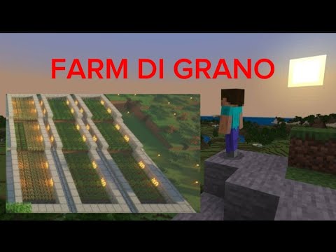 COSTRUIAMO LA FARM DI GRANO