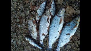 Рыбалка октябрьский на реке ик 2020