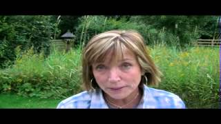 Aggressive, "fearless horse". Also, issues with touching his head.