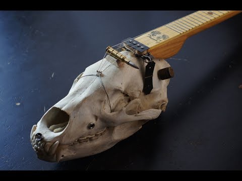 4 string cigarbox style bear skull guitar Spirit image 12