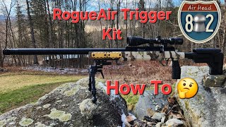 Barra 250z (RogueAir trigger kit install)