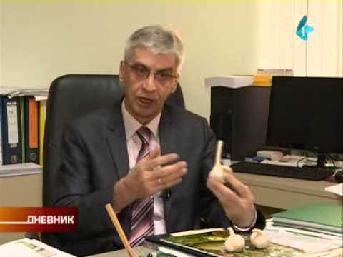 Zaštititi domaći luk