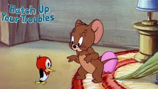 Download lagu Hatch Up Your Troubles 1949 Tom and Jerry Cartoon Short Film | Hanna, Barbera | Animation Review mp3