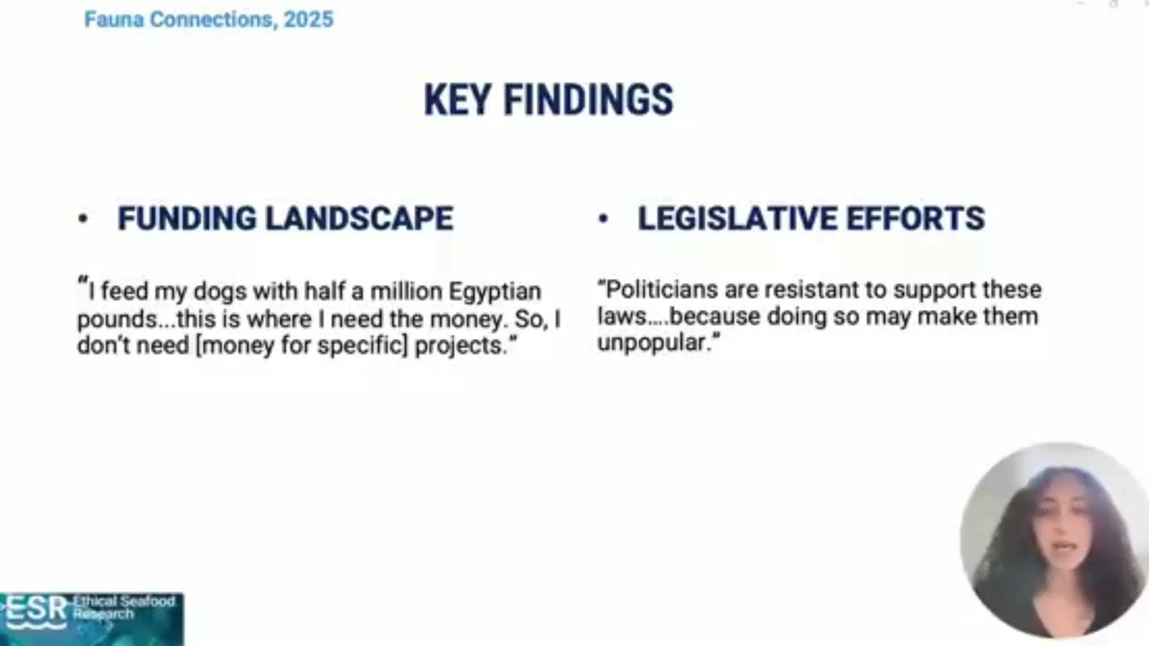 Animal Advocacy in Egypt: Challenges, Opportunities & Welfare Insights | Fauna Connections 2025