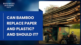 Can Bamboo Replace Paper And Plastic? And Should It?