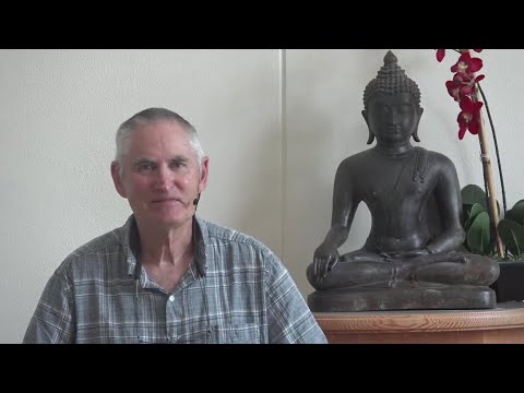 Mindfulness of Litening - Gil Fronsdal