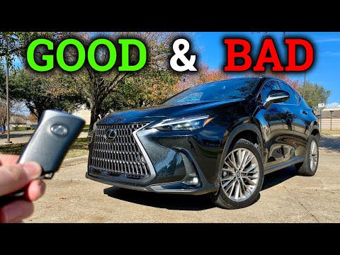Life With the New 2022 Lexus NX | 1 Week Later