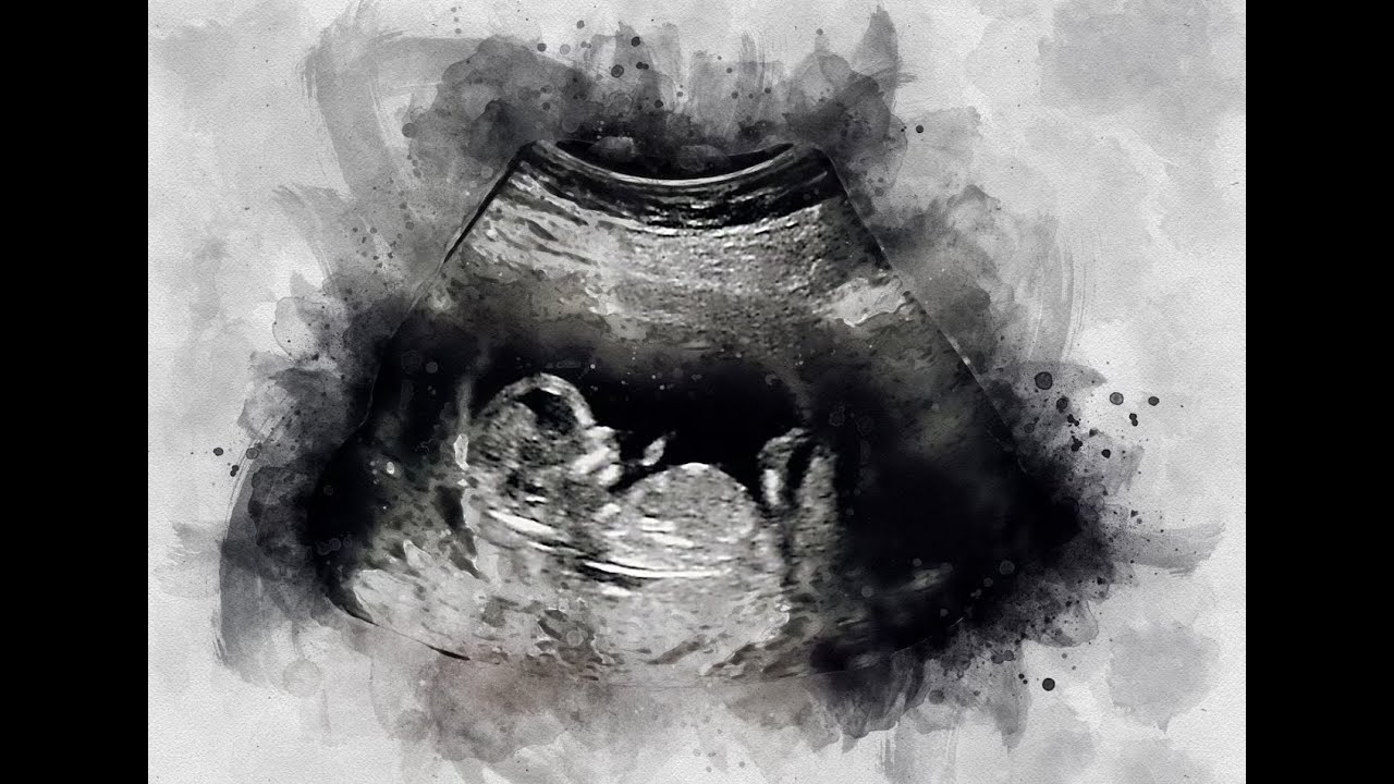 Nine Months trailer