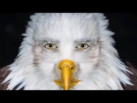 Shawn Storm x Rygin King - Nah Lef None