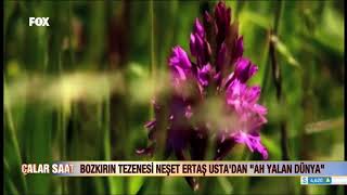 Ah Yalan Dünya - Neşet Ertaş