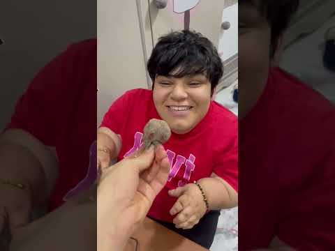 Biberli çilek #keşfet #aboneolun #mersin #takip #shortvideo