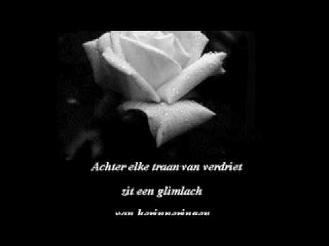 trimo  ngala  didi kempot