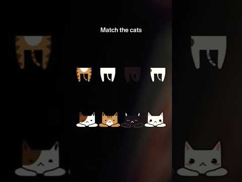 Match the cats 🐈 😻 🐈‍⬛️ IQ #challenge #gameplay #shorts #cats #youtubeshorts #erumkhubaid