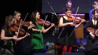 Konstan koko tuotanto 16-sekunnissa & D-mollisottiisi (Levyn julkkari live)