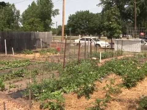 Community Gardens: Planning Your Priorities