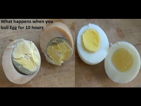 download lagu mp3 mp4 Over Boiled Eggs, download lagu Over Boiled Eggs gratis, unduh video klip Over Boiled Eggs