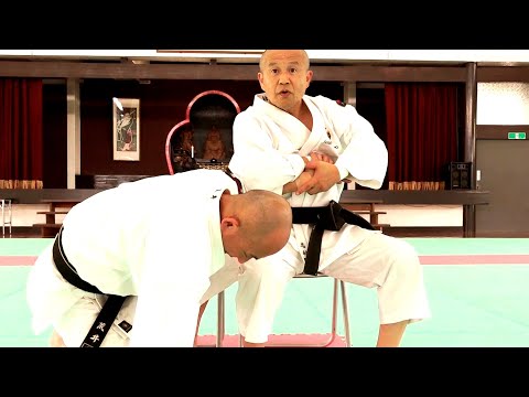 【少林寺拳法】反撃できない！総本山で見た驚愕の固め技【Shorinjikempo】Impossible to counterattack ! Art of Self-Defense
