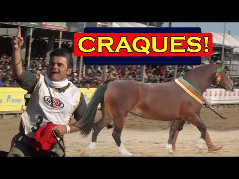 CALA BASSA: factory of CHAMPIONS