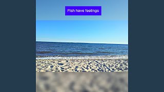 Fish Have Feelings