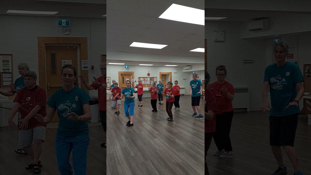 Single Whip - Nelson, Canada - Taoist Tai Chi® arts