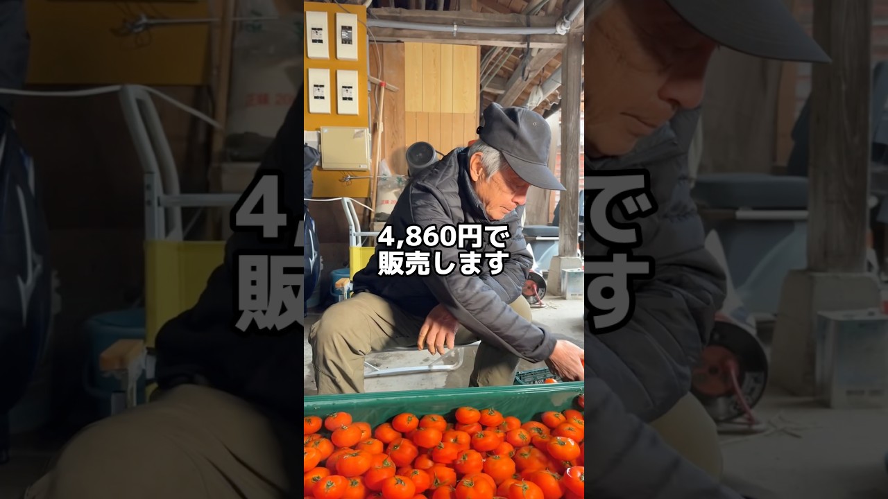 トマトジュース1本4,860円#トマト農家 #熊本 #トマトジュース